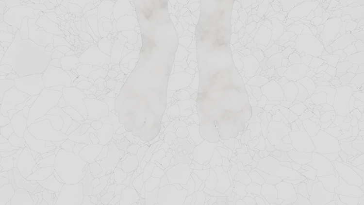 "Virtual borders of social isolation";